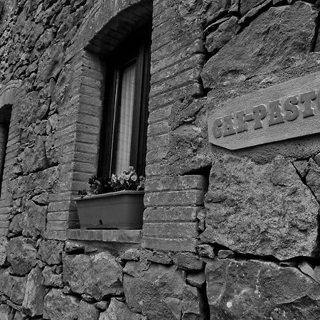 Hostal Casa Cal Pastor Salo Exterior foto